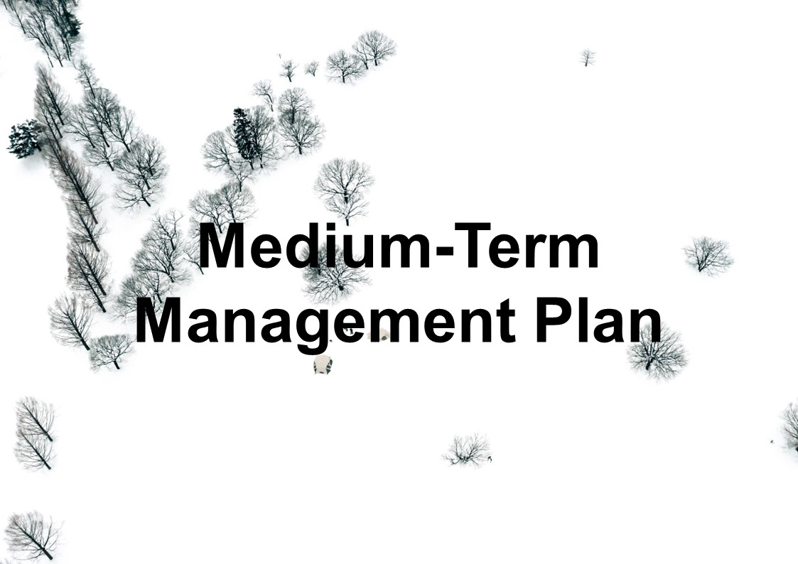 Medium-Term Management Plan